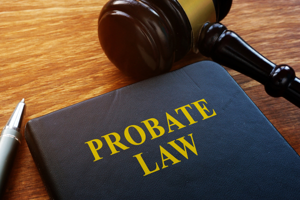 michigan-probate-laws-expalined